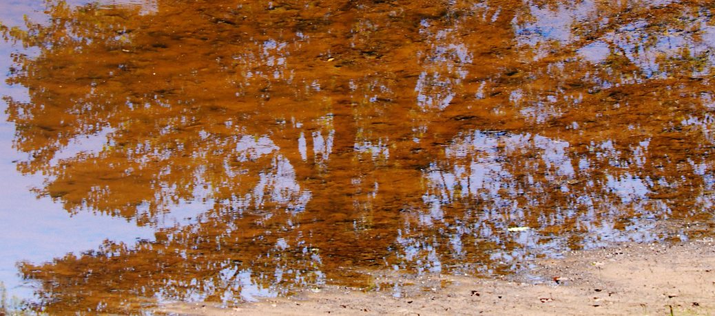 Reflection On Water